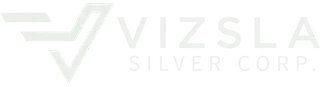 Vizsla Silver